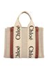 Chloe Woody Small Tote, back view